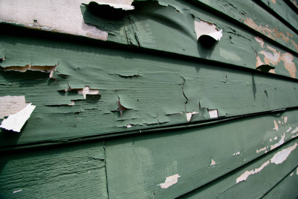 Best Storm Damage Siding Repair  in Powells Crossroads, TN