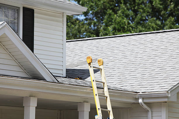 Best Vinyl Siding Installation  in Powells Crossroads, TN